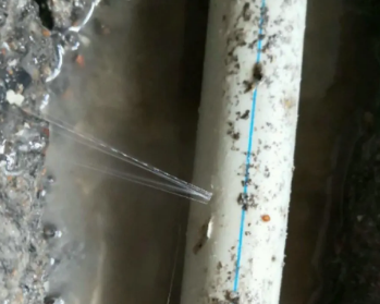 柘城卫生间测漏水多少钱
